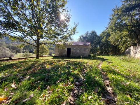 Quinta T0 Venda em Santiago,Seia