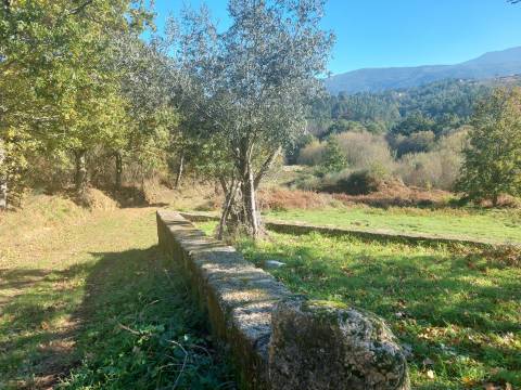 Quinta T0 Venda em Santiago,Seia