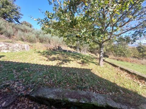 Quinta T0 Venda em Santiago,Seia