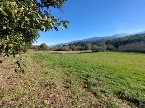 Quinta T0 Venda em Santiago,Seia