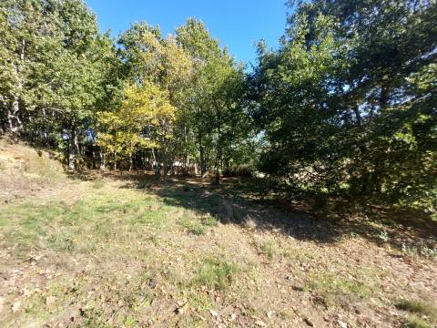 Quinta T0 Venda em Santiago,Seia