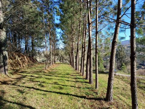 Quintinha T1 Venda em Figueiró da Serra e Freixo da Serra,Gouveia
