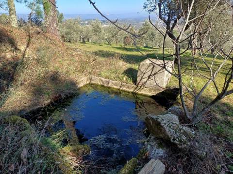 Quintinha T1 Venda em Figueiró da Serra e Freixo da Serra,Gouveia