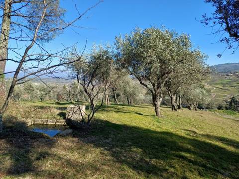 Quintinha T1 Venda em Figueiró da Serra e Freixo da Serra,Gouveia