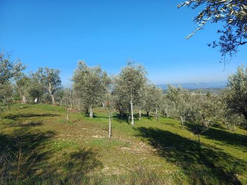 Quintinha T1 Venda em Figueiró da Serra e Freixo da Serra,Gouveia