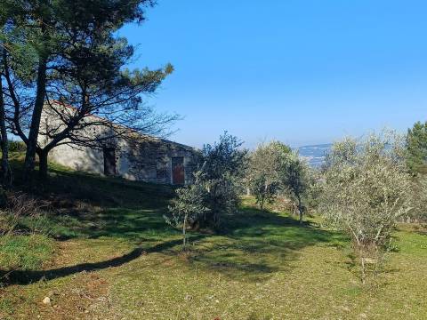 Quintinha T1 Venda em Figueiró da Serra e Freixo da Serra,Gouveia