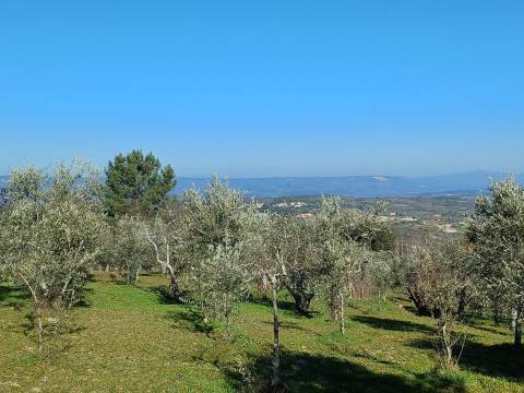 Quintinha T1 Venda em Figueiró da Serra e Freixo da Serra,Gouveia