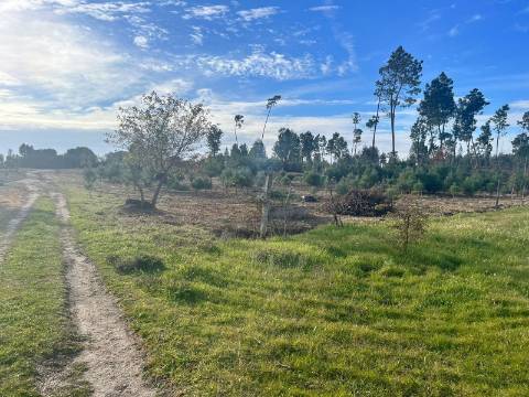Quinta  Venda em Seixo da Beira,Oliveira do Hospital