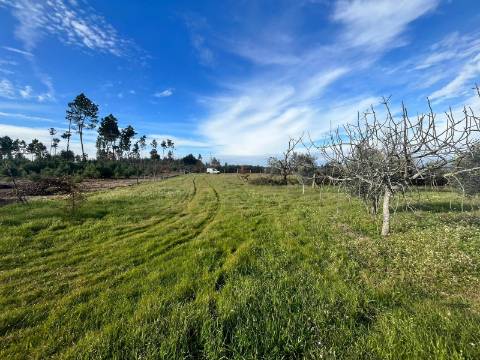 Quinta  Venda em Seixo da Beira,Oliveira do Hospital