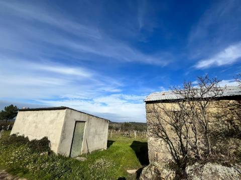 Quinta  Venda em Seixo da Beira,Oliveira do Hospital