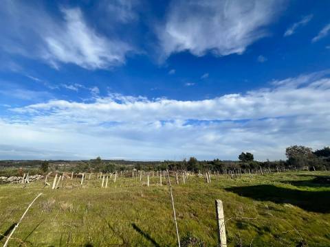 Quinta  Venda em Seixo da Beira,Oliveira do Hospital