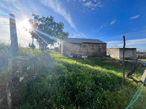 Quinta  Venda em Seixo da Beira,Oliveira do Hospital