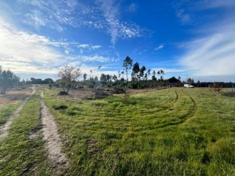 Quinta  Venda em Seixo da Beira,Oliveira do Hospital