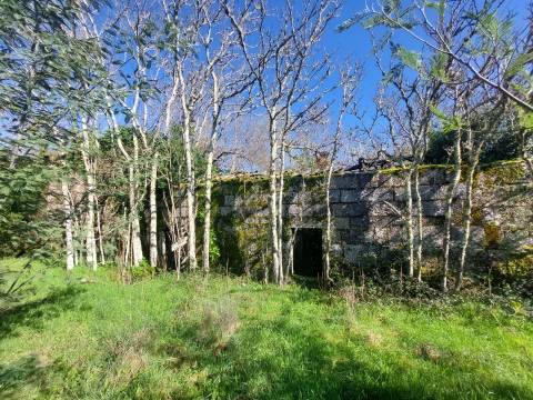 Quinta  Venda em Rio Torto e Lagarinhos,Gouveia