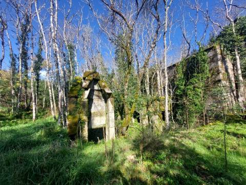 Quinta  Venda em Rio Torto e Lagarinhos,Gouveia