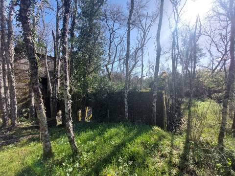 Quinta  Venda em Rio Torto e Lagarinhos,Gouveia