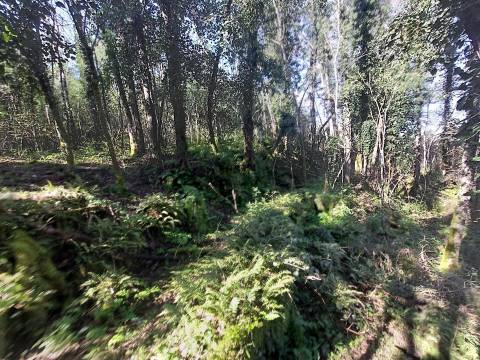 Quinta  Venda em Rio Torto e Lagarinhos,Gouveia