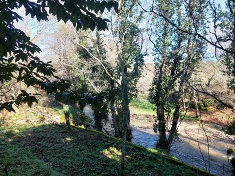 Quinta  Venda em Rio Torto e Lagarinhos,Gouveia