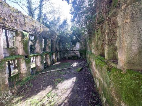 Quinta  Venda em Rio Torto e Lagarinhos,Gouveia