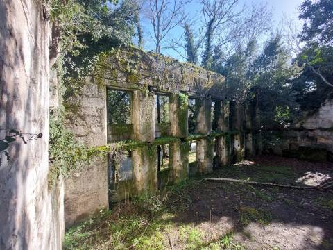Quinta  Venda em Rio Torto e Lagarinhos,Gouveia