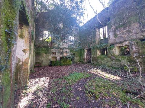 Quinta  Venda em Rio Torto e Lagarinhos,Gouveia