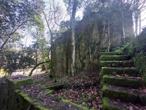 Quinta  Venda em Rio Torto e Lagarinhos,Gouveia