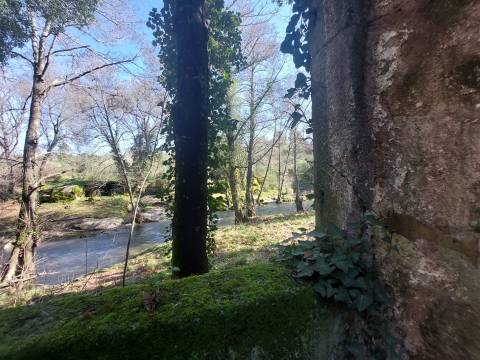 Quinta  Venda em Rio Torto e Lagarinhos,Gouveia
