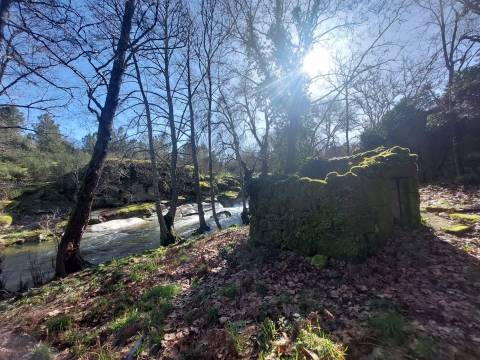 Quinta  Venda em Rio Torto e Lagarinhos,Gouveia