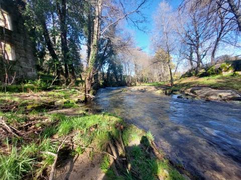 Quinta  Venda em Rio Torto e Lagarinhos,Gouveia