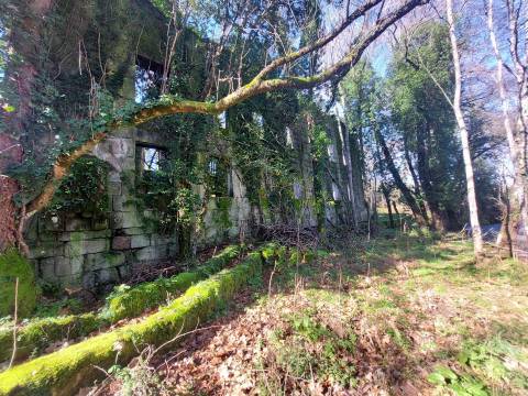 Quinta  Venda em Rio Torto e Lagarinhos,Gouveia
