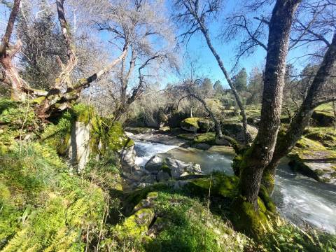 Quinta  Venda em Rio Torto e Lagarinhos,Gouveia