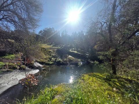 Quinta  Venda em Rio Torto e Lagarinhos,Gouveia