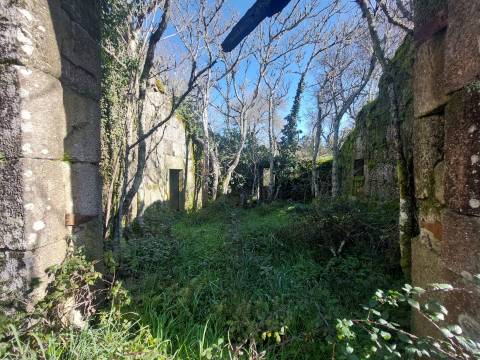 Quinta  Venda em Rio Torto e Lagarinhos,Gouveia