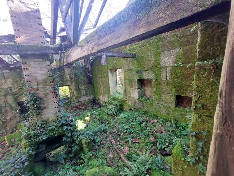 Quinta  Venda em Rio Torto e Lagarinhos,Gouveia