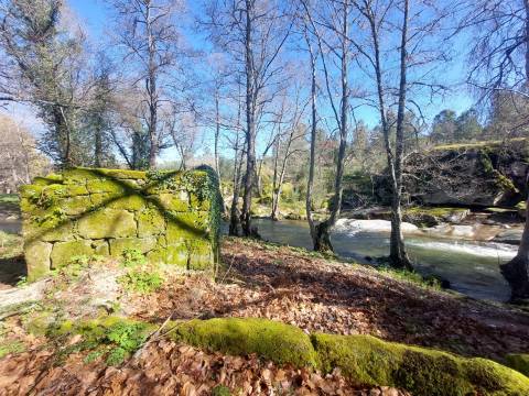 Quinta  Venda em Rio Torto e Lagarinhos,Gouveia