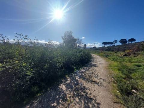 Quinta  Venda em Rio Torto e Lagarinhos,Gouveia