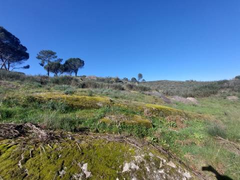 Quinta  Venda em Rio Torto e Lagarinhos,Gouveia
