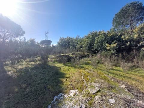 Quinta  Venda em Rio Torto e Lagarinhos,Gouveia