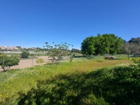 Quintinha T1 Venda em Santa Comba,Seia