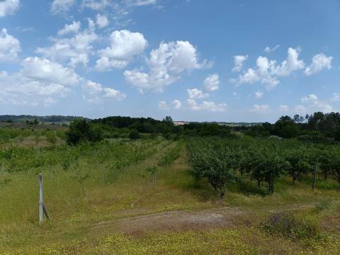 Quinta  Venda em Santa Marinha e São Martinho,Seia