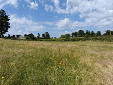 Quinta  Venda em Santa Marinha e São Martinho,Seia