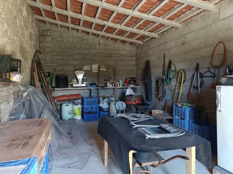 Quinta  Venda em Santa Marinha e São Martinho,Seia