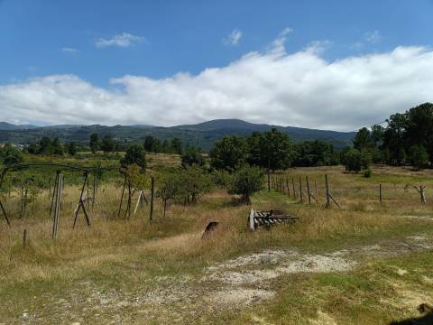 Quinta  Venda em Santa Marinha e São Martinho,Seia