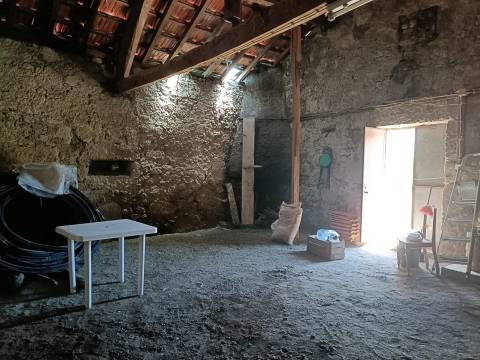 Quinta  Venda em Santa Marinha e São Martinho,Seia