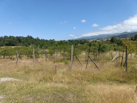 Quinta  Venda em Santa Marinha e São Martinho,Seia
