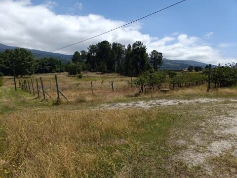 Quinta  Venda em Santa Marinha e São Martinho,Seia