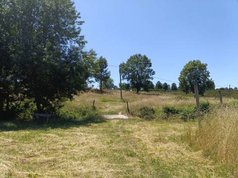 Quinta  Venda em Santa Marinha e São Martinho,Seia