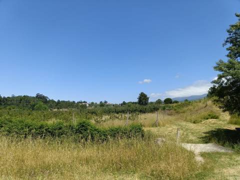 Quinta  Venda em Santa Marinha e São Martinho,Seia