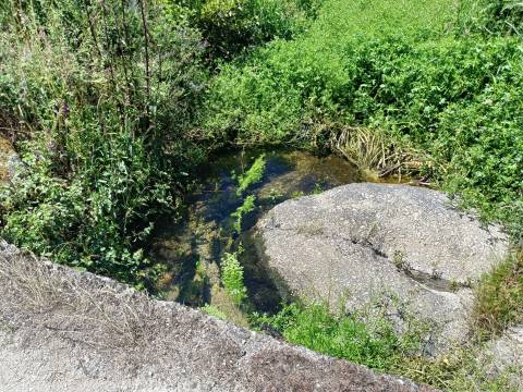 Quinta  Venda em Santa Marinha e São Martinho,Seia