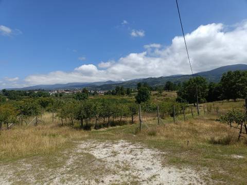 Quinta  Venda em Santa Marinha e São Martinho,Seia